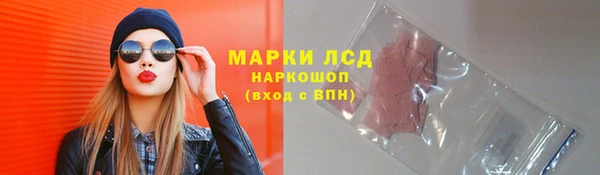 шишки Баксан