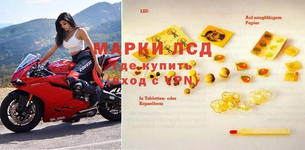 шишки Баксан